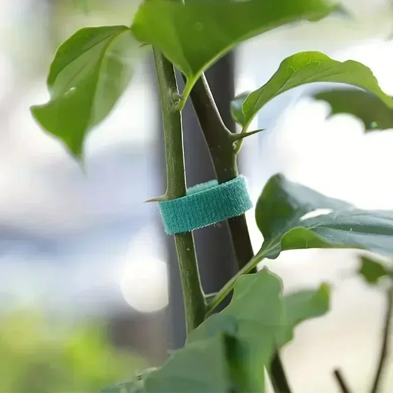 1/100M ปรับ Self Adhesive Plan - Gear Tie Reusable บทวิจารณ์และราคา
