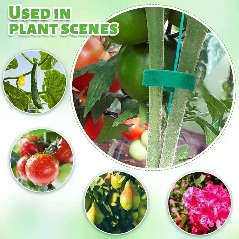 1/100M ปรับ Self Adhesive Plan - Gear Tie Reusable บทวิจารณ์และราคา