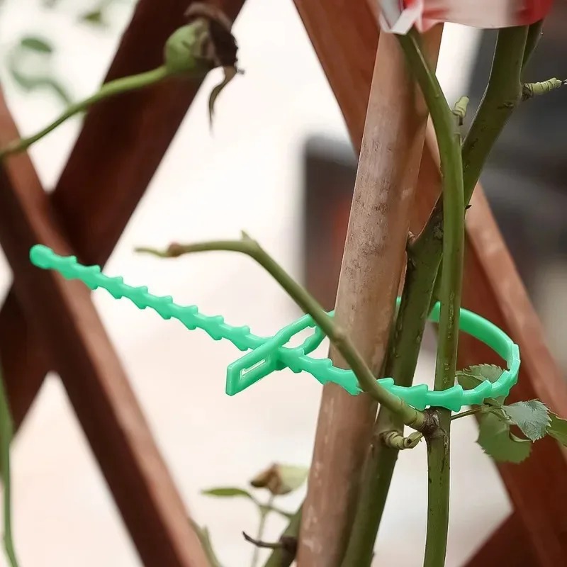สายรัดต้นไม้แบบใช้ซ้ำได้ สำหรั - Gear Tie Reusable บทวิจารณ์และราคา