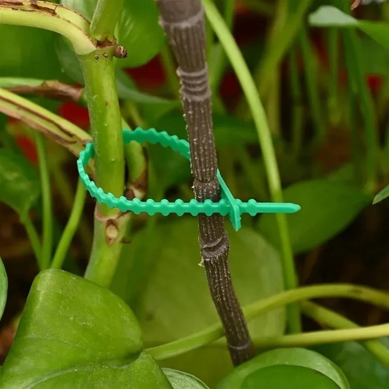 สายรัดต้นไม้แบบใช้ซ้ำได้ สำหรั - Gear Tie Reusable บทวิจารณ์และราคา
