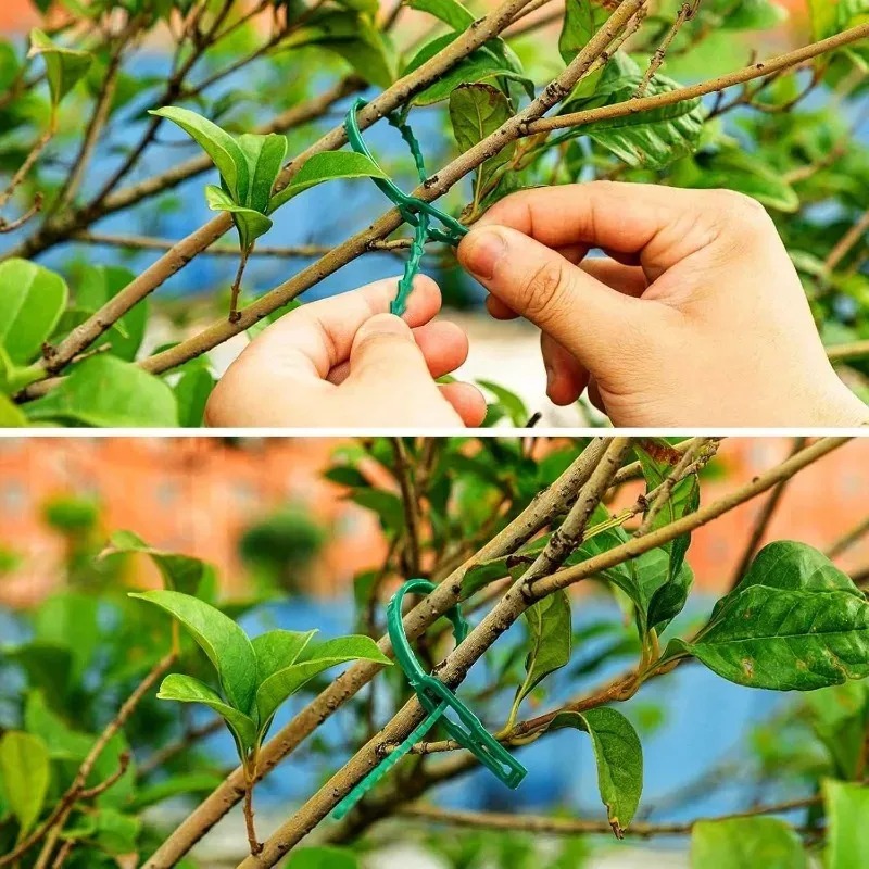 สายรัดต้นไม้แบบใช้ซ้ำได้ สำหรั - Gear Tie Reusable บทวิจารณ์และราคา